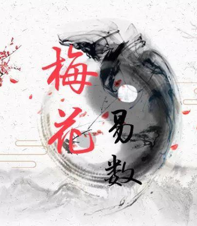 《周易》《梅花易数》是中国文化史上一部真实的奇书